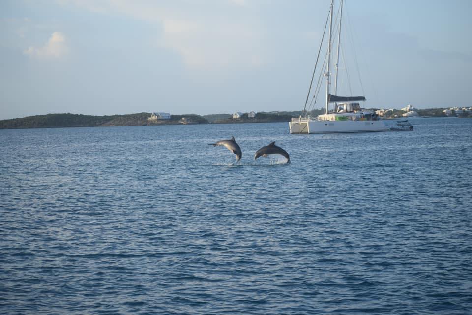 2012 Lagoon 450 with flybridge photo 36
